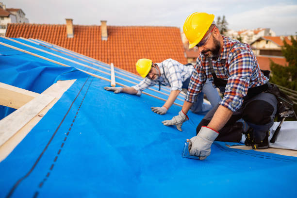 Best Metal Roofing Contractor  in Port Edwards, WI