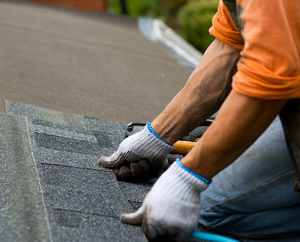 Roof Gutter Cleaning in Port Edwards, WI