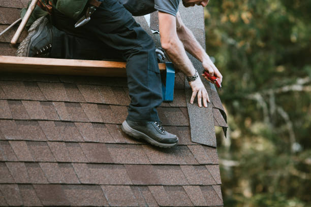 Best New Roof Installation  in Port Edwards, WI